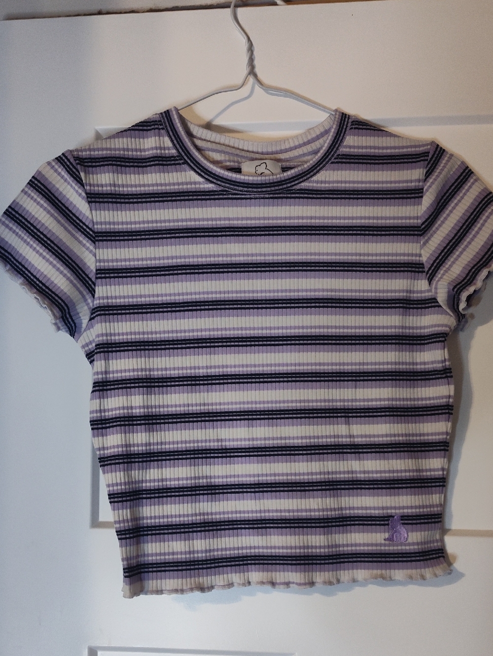 Striped Lavender Ribbed Crop Top - Women's
